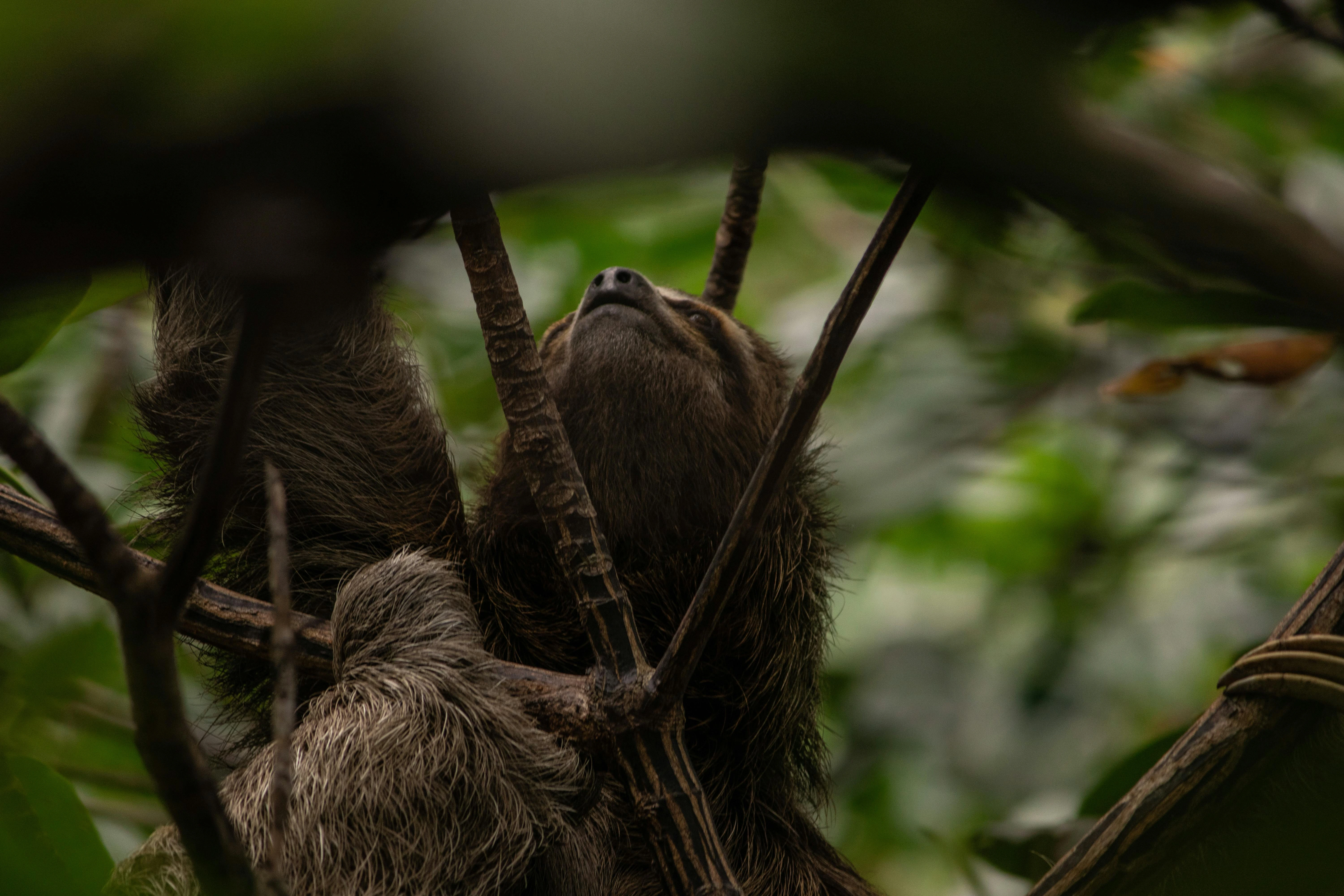 Cuadro pequeño1.webp